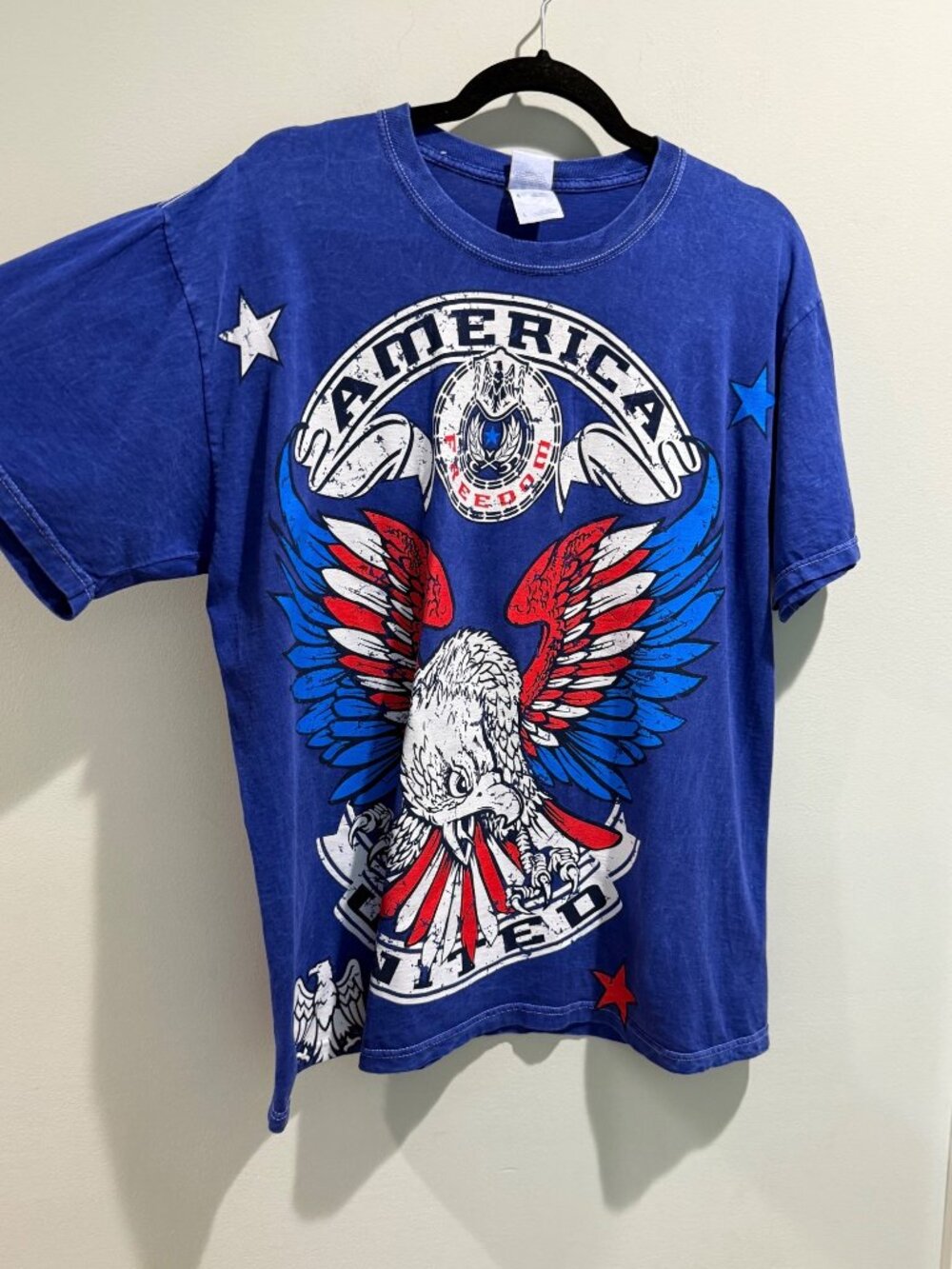 Fruit of the Loom Heavy America United Eagle Graphic 100% Cotton Tee Blue Large